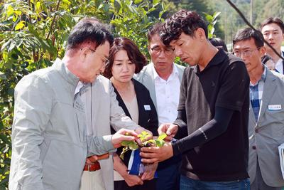 박동식 시장, 육묘기 병해충 발생한 딸기재배 농가 방문