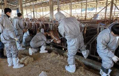 사천시, 가축전염병 청정지역 유지를 위해
예방약품 및 백신 지원

